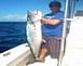 I caught this 53lb 53in king fish off the coast of Key West Florida on the coral reef in December. 